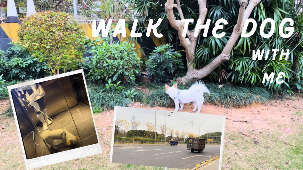 Walk the dog with me