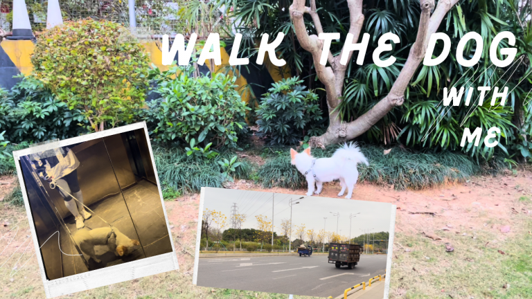 Walk the dog with me