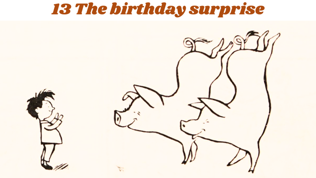 13 The birthday surprise